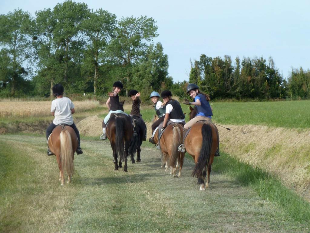 Appartements Les Ormes Epiniac Zewnętrze zdjęcie